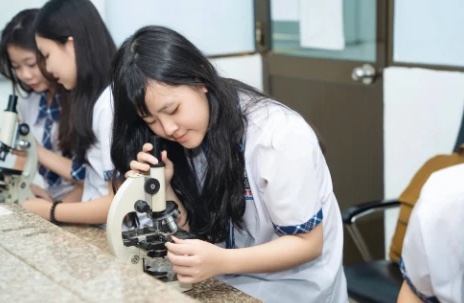 Học sinh thực hành với kính hiển vi